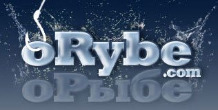 oRybe.com logo